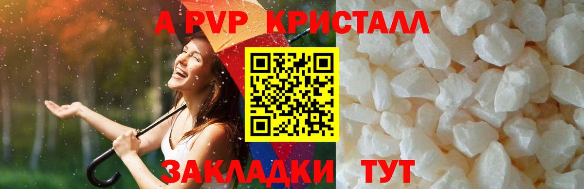 Альфа ПВП СК КРИС  Вход с VPN  хочу наркоту  Саратов 