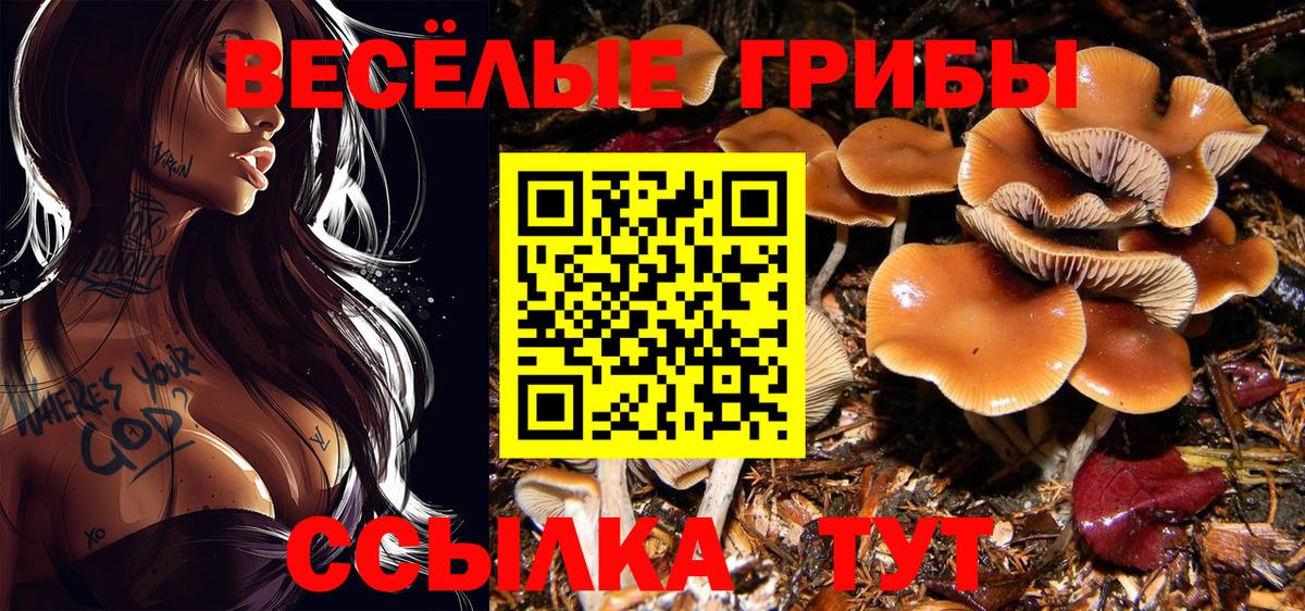 Галлюциногенные грибы ЛСД  Псилоцибиновые грибы мухоморы  Вход с VPN  Саратов 