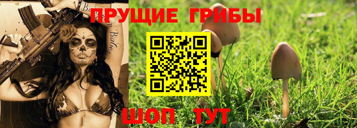 Галлюциногенные грибы мухоморы Саратов